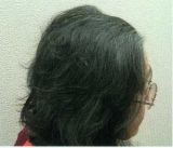 �Q��ځi�P�T�����u�j